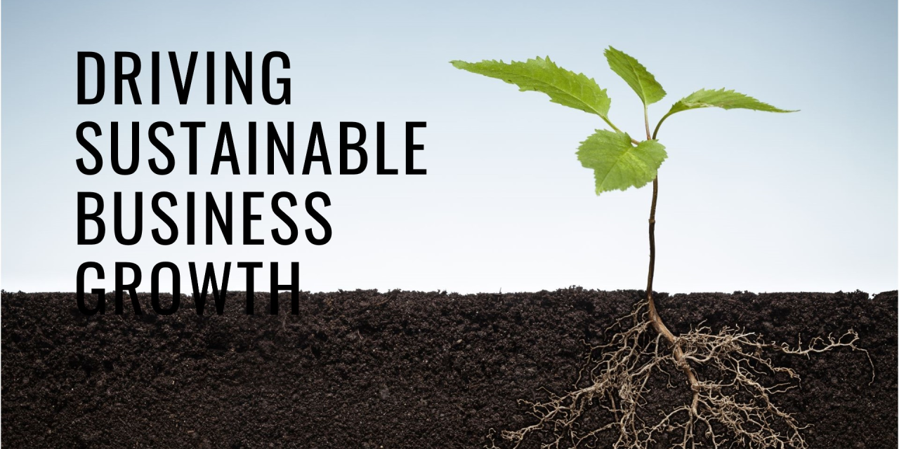 The Role of Management Consulting in Driving Sustainable Business Growth