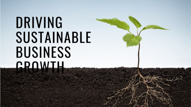 The Role of Management Consulting in Driving Sustainable Business Growth
