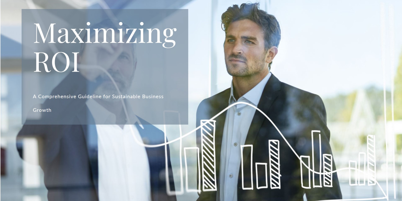 Maximizing ROI: A Comprehensive Guideline for Sustainable Business Growth