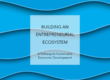Building an Entrepreneurial Ecosystem