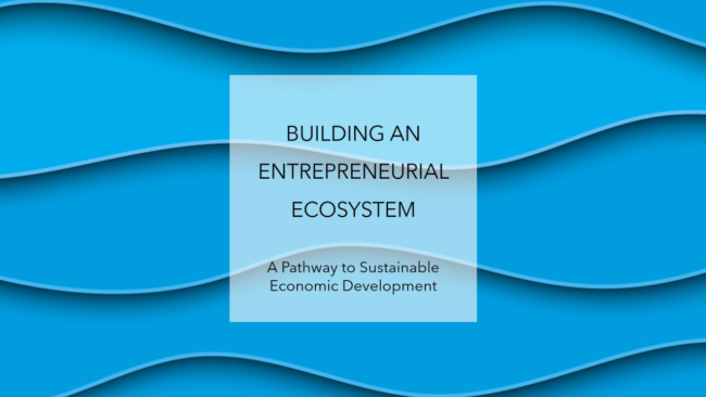 Building an Entrepreneurial Ecosystem