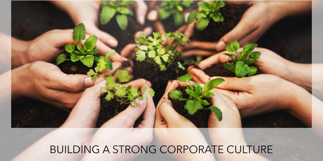Developing a Strong Corporate Culture: A Key to Achieving Corporate Sustainability