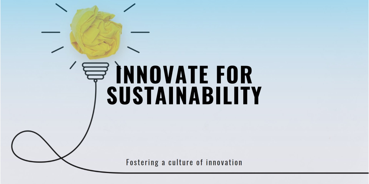 Fostering a Culture of Innovation: A Pathway to Corporate Sustainability