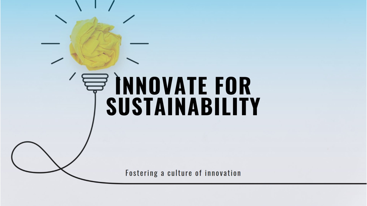 Fostering a Culture of Innovation: A Pathway to Corporate Sustainability