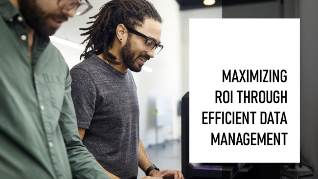 Maximizing ROI through Efficient Data Management for Sustainable Business Growth