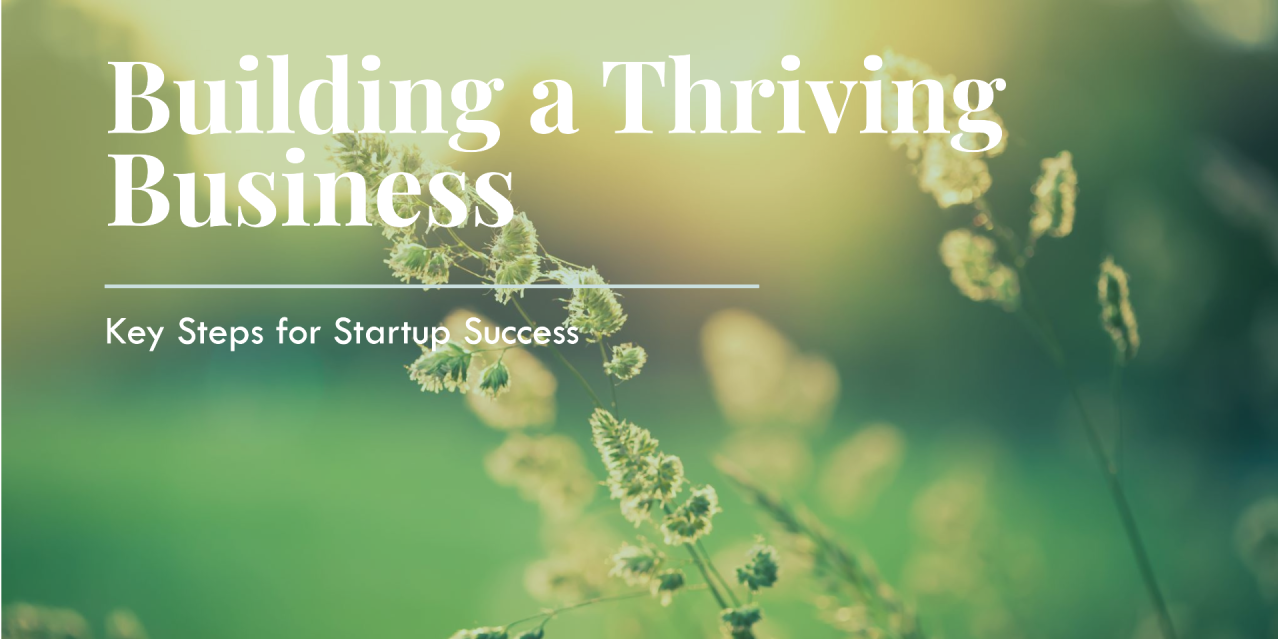 Startup Success Guideline: Key Steps for Building a Thriving Business