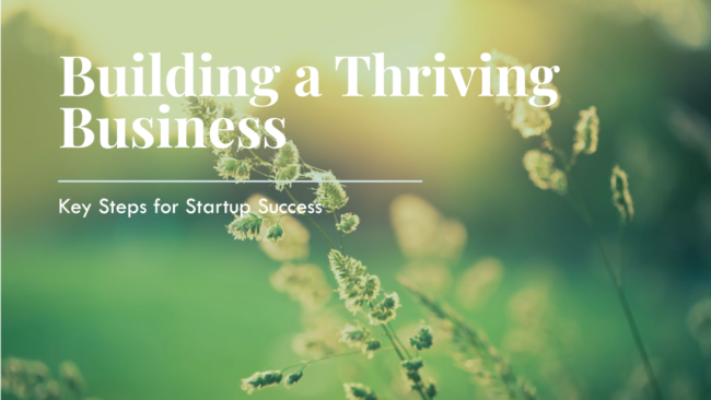 Startup Success Guideline: Key Steps for Building a Thriving Business