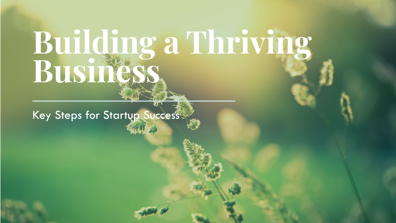 Startup Success Guideline: Key Steps for Building a Thriving Business