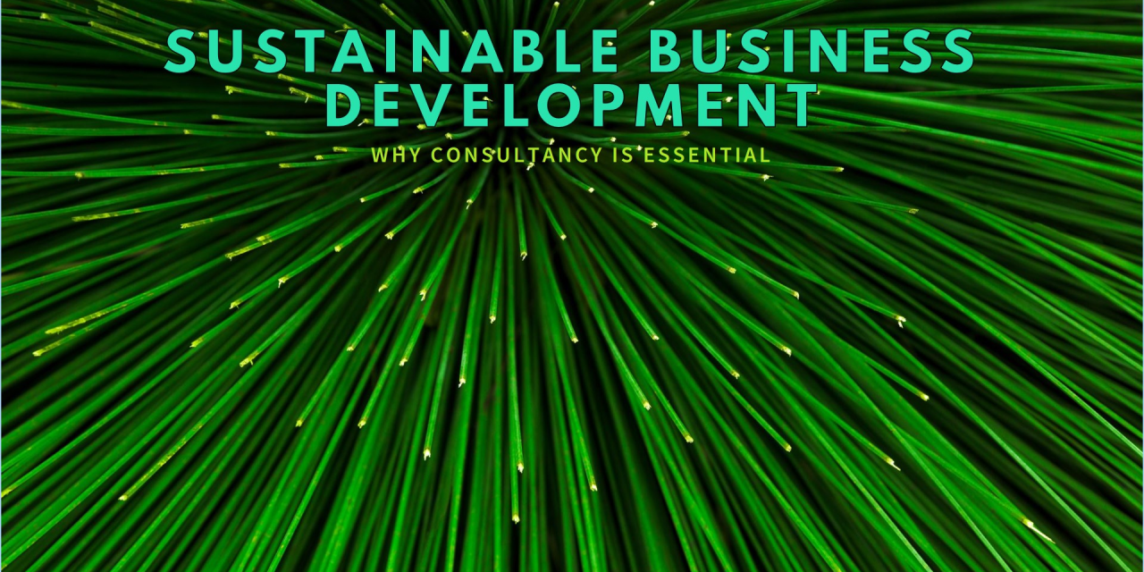Why Business Enterprises Should Seek Consultancy for Sustainable Business Development