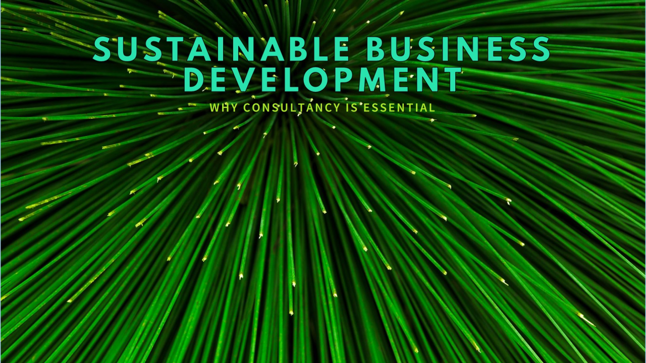 Why Business Enterprises Should Seek Consultancy for Sustainable Business Development