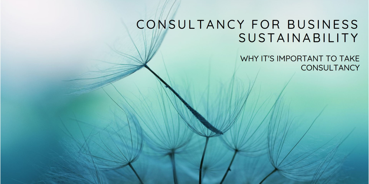 Why Taking Consultancy is Important for Your Business Sustainability