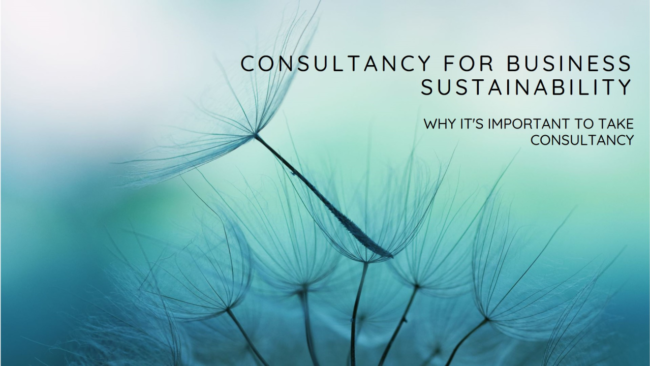 Why Taking Consultancy is Important for Your Business Sustainability