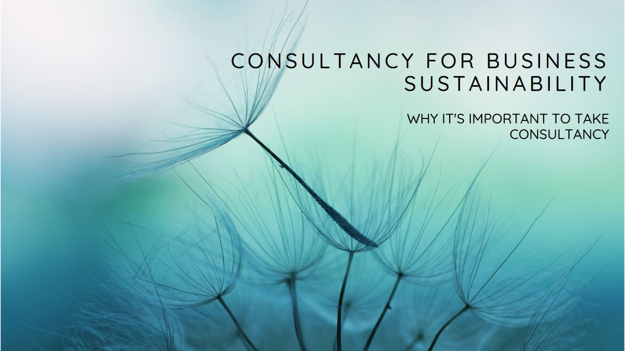 Why Taking Consultancy is Important for Your Business Sustainability