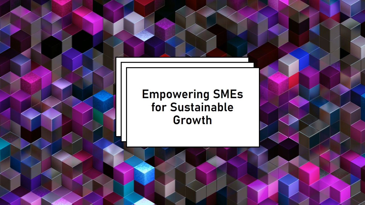 Developing the SME Sector for Sustainable Economic Growth in Bangladesh