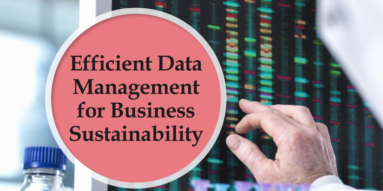 The Importance of Efficient Data Management for Business Sustainability