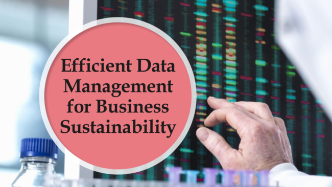 The Importance of Efficient Data Management for Business Sustainability